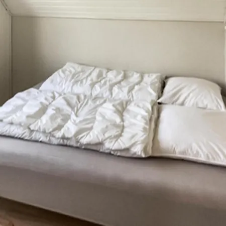 Feriehus Pet Friendly In With Sauna